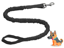 black TowWhee bungee stretch dog leash