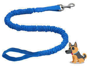 blue TowWhee bungee stretch dog leash
