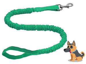 green TowWhee bungee stretch dog leash