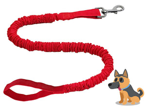 red TowWhee bungee stretch dog leash