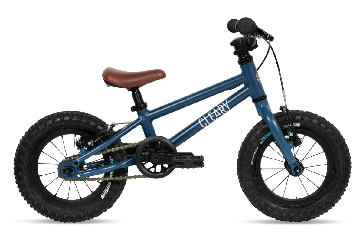 Cleary Gecko 12 Single Speed Alloy Kids Bike Kids Bikes Canada