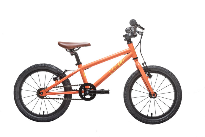 Two Wheel Tots - 16" Hedgehog Review