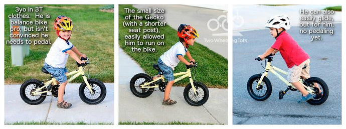 Two Wheeling Tots - The Cleary Gecko 12" review