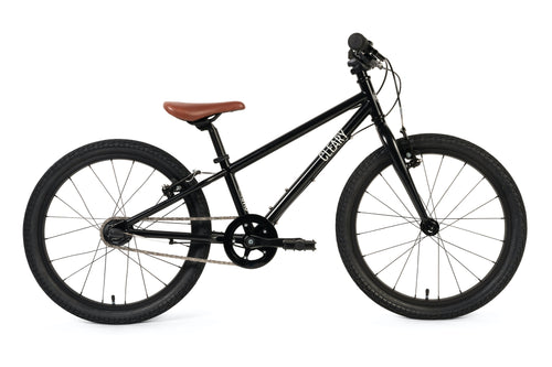 Black Kids Bike 20